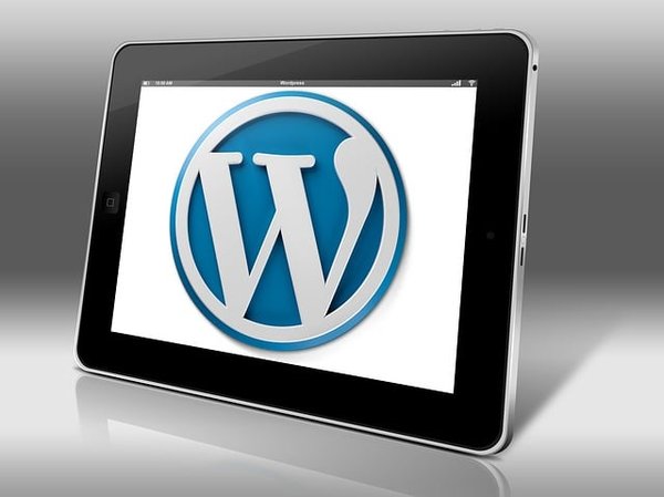Formation wordpress et webdesign : devenez pro facilement !